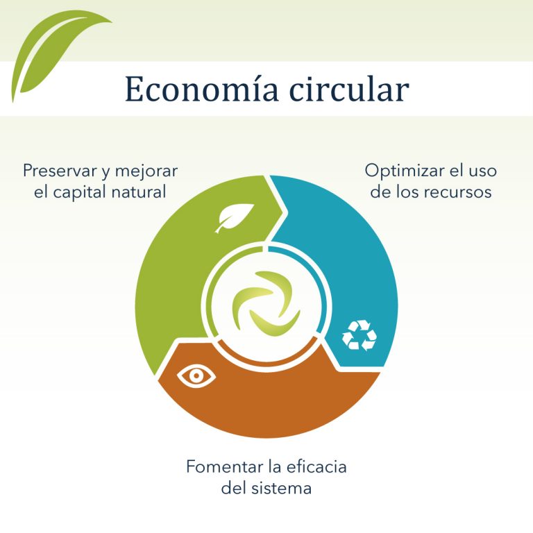 ¿Qué Es La Economía Circular? Todo Lo Que Necesitas Saber